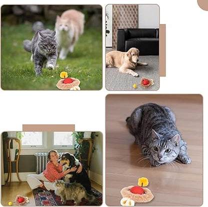 Juguete Interactivo para gatos y perros + Envío gratis