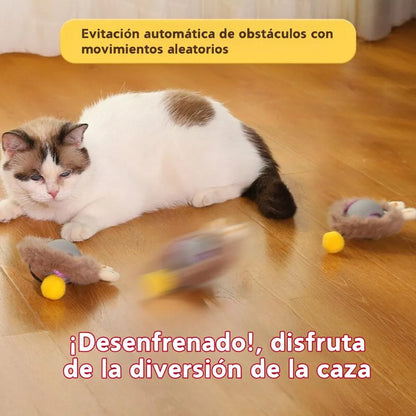 Juguete Interactivo para gatos y perros + Envío gratis