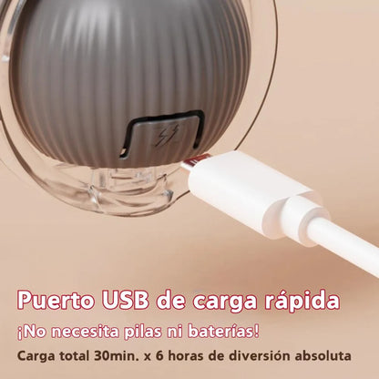 Juguete Interactivo para gatos y perros + Envío gratis